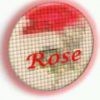 The Red Rose Designs
